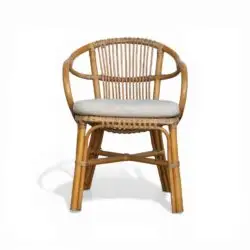 Pemberly Rattan Occasional Chair